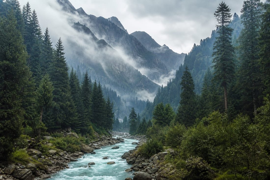 Forest and wildlife habitat in Pakistan